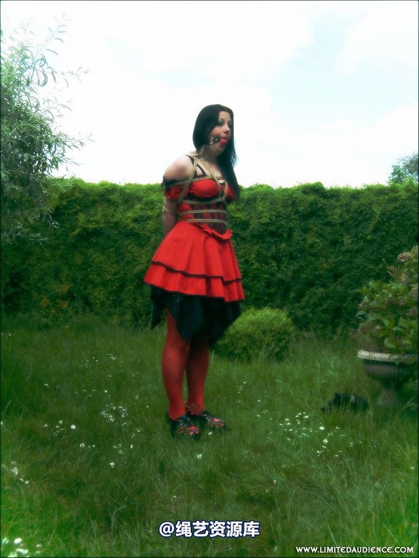 limitedaudience - 2007 asphyxia tied in red 第 10 张图片