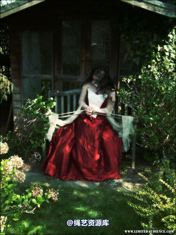 limitedaudience - 2007 catya snatched bride 第 3 张图片
