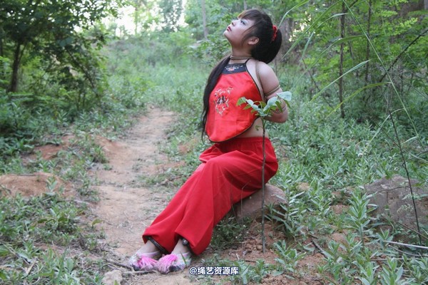 胜景山庄 - 162-野外红肚兜 第 30 张图片