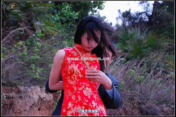 千丝万缕 - 2008-04-23日照片 第 160 张图片