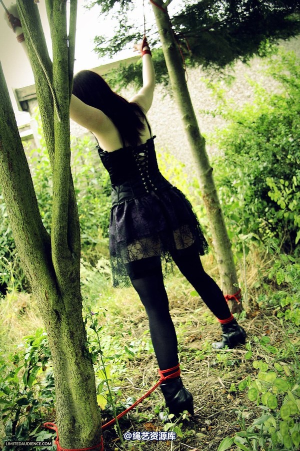 limitedaudience - 2013 syrah lee helpless outdoors 2 第 30 张图片