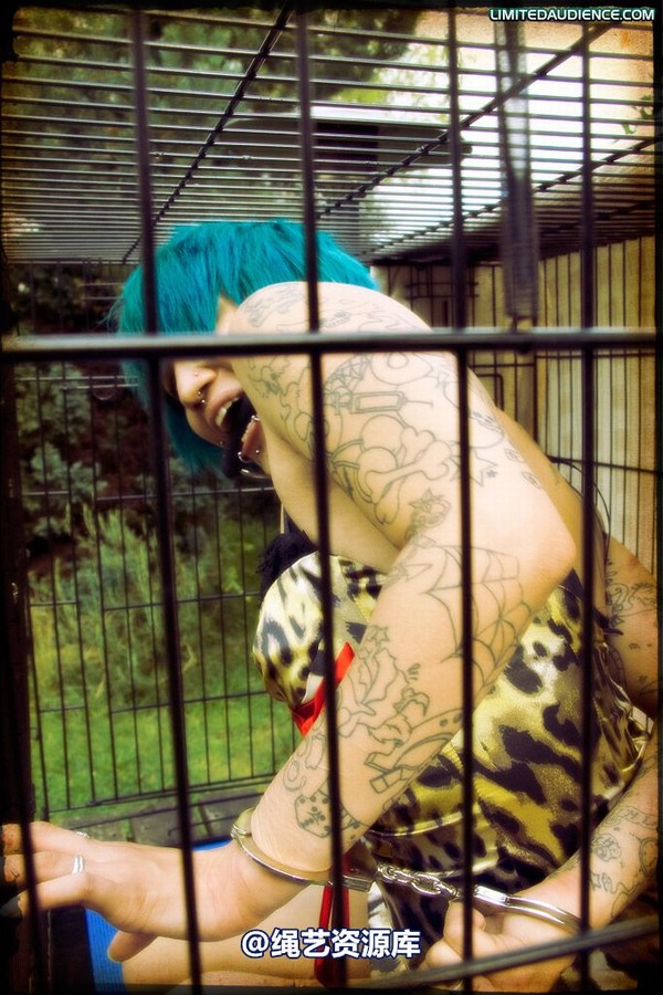 limitedaudience - 2009 b caged animal 第 18 张图片