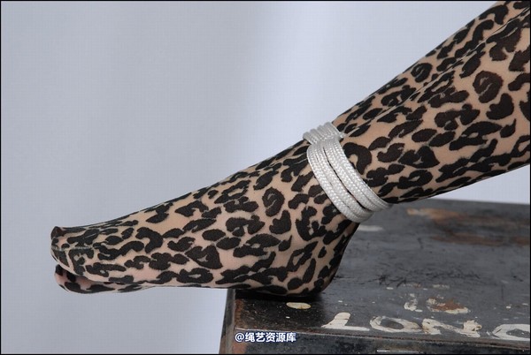 simplytied - Jinx in animal print 第 14 张图片