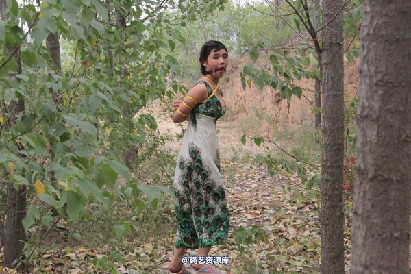 胜景山庄 - 275-山林绑着堵嘴狂跑 第 41 张图片