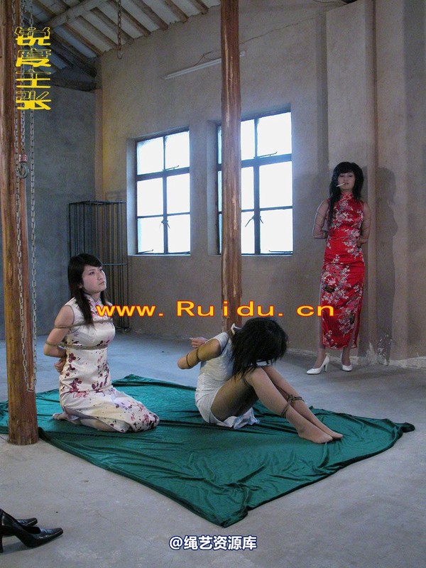 锐度主张 - 孔雀、惠惠、泡泡旗袍捆绑 第 117 张图片