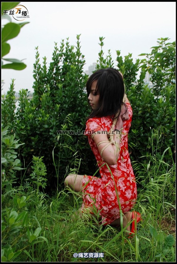 千丝万缕 - 2008-05-07日照片 第 153 张图片