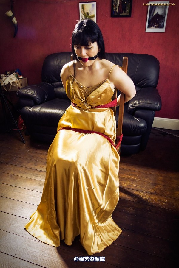 limitedaudience - 2013 dynamo golden satin 2 第 15 张图片