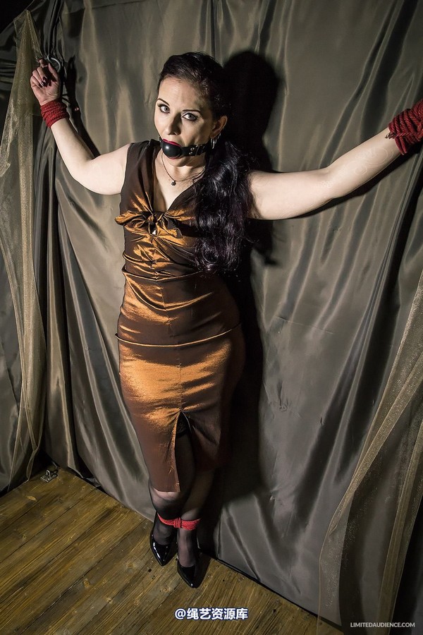 limitedaudience - 2014 caroline pierce bondage in bronze 第 20 张图片