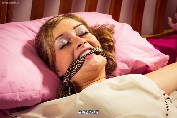 limitedaudience - 2013 melodii bed bound 2 第 27 张图片