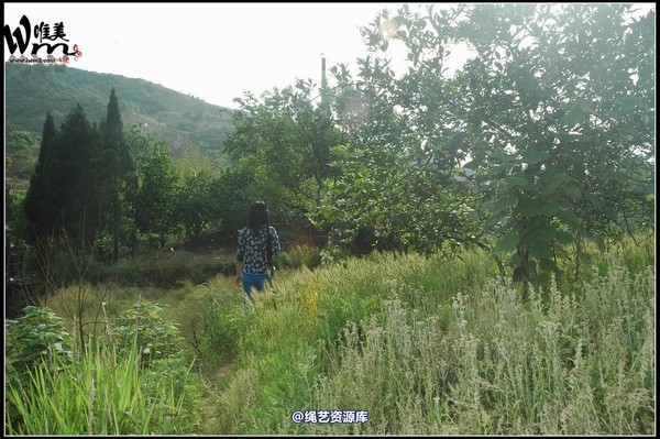 唯美之家 - 武当山之行-群绑 第 334 张图片
