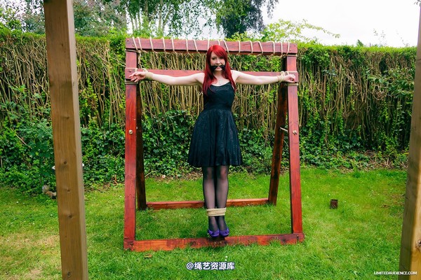 limitedaudience - 2013 syrah lee experiencing the cross 第 1 张图片