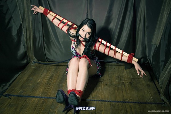 limitedaudience - 2013 stacey von time challenge 2 第 36 张图片