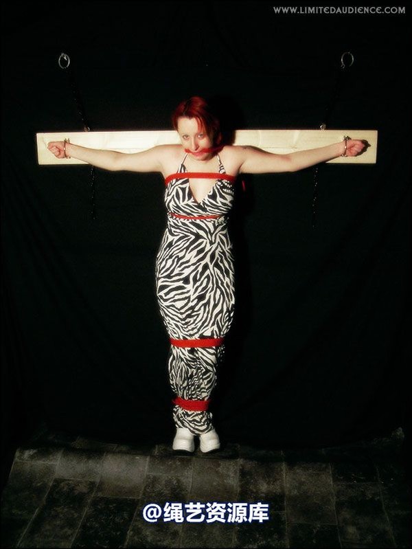 limitedaudience - 2007 erin chained animal 第 35 张图片