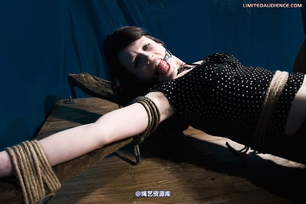 limitedaudience - 2011 luisa helpless to resist 2 第 6 张图片