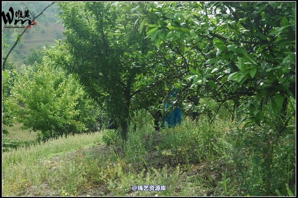 唯美之家 - 武当山之行-押解 第 128 张图片