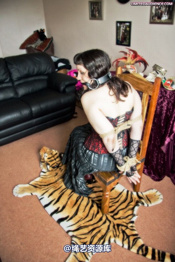 limitedaudience - 2009 catya veriddian fantasies of a lady 2 第 13 张图片
