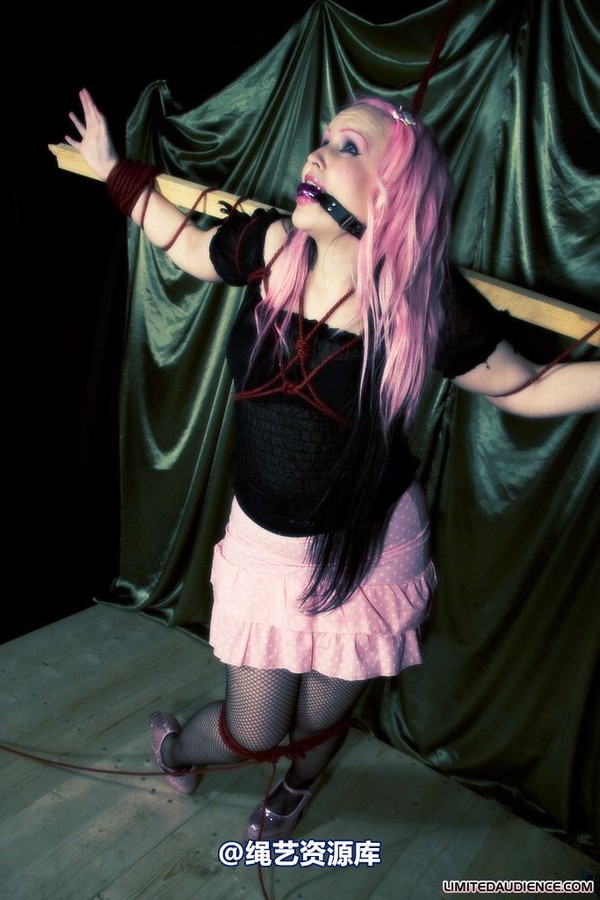 limitedaudience - 2009 assisted suicide profoundly entangled 第 32 张图片