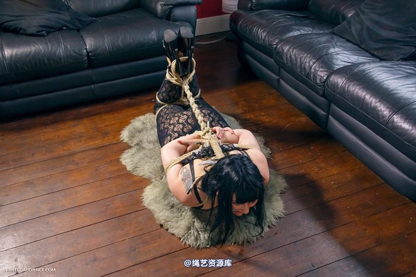 limitedaudience - 2013 dynamo hogtied 2 第 3 张图片