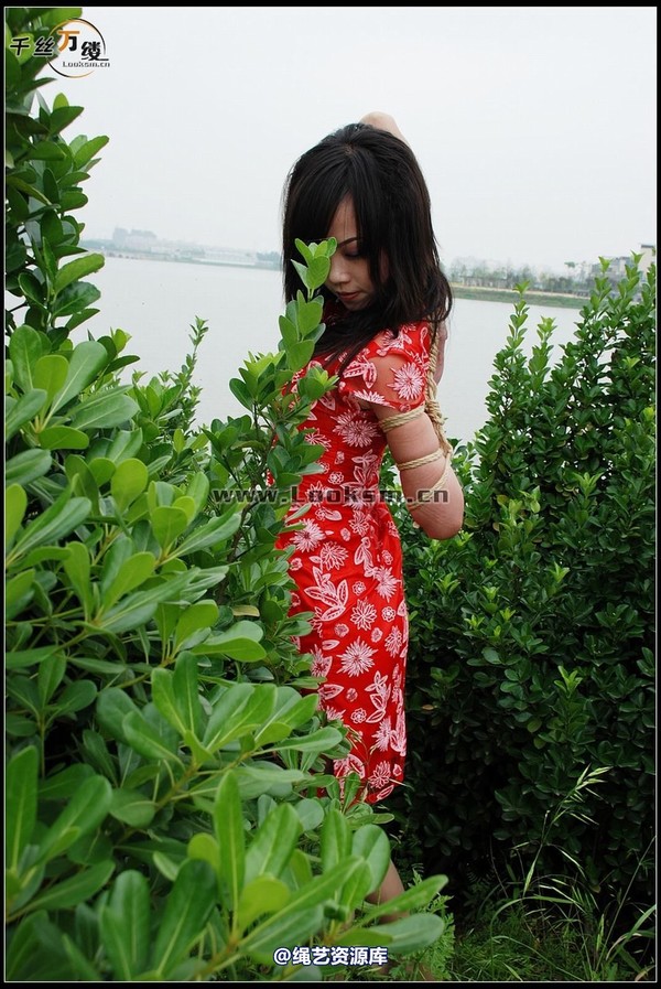千丝万缕 - 2008-05-07日照片 第 148 张图片