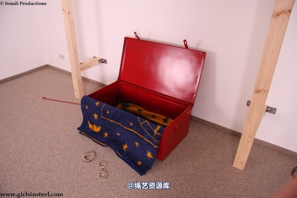 girlsinsteel - Sophia caged 第 47 张图片