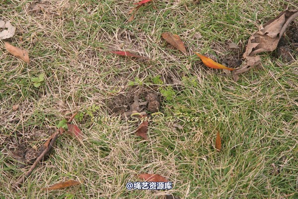 锐度主张 - 2009年第二十期镣铐图（2009.5.10） 第 4 张图片