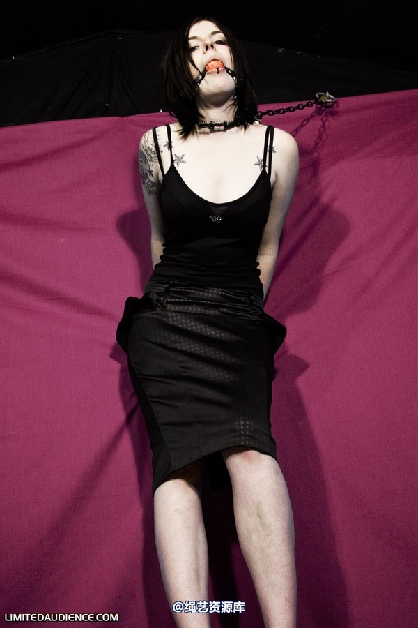 limitedaudience - 2010 jenvy display model 第 9 张图片