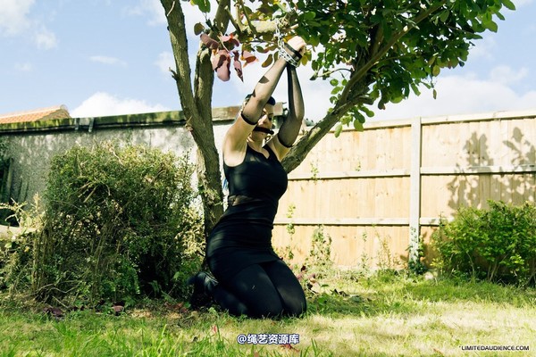 limitedaudience - 2012 raevan tied and tamed 第 18 张图片