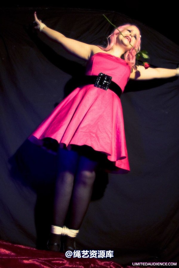 limitedaudience - 2009 assisted suicide a darling damsel 第 4 张图片