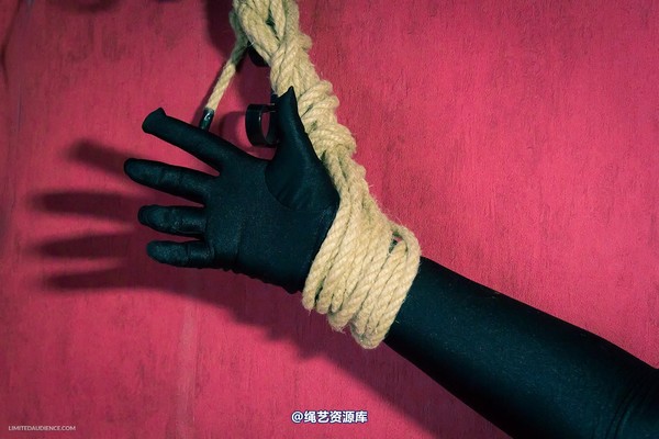 limitedaudience - 2013 dynamo incredulous captive 第 33 张图片