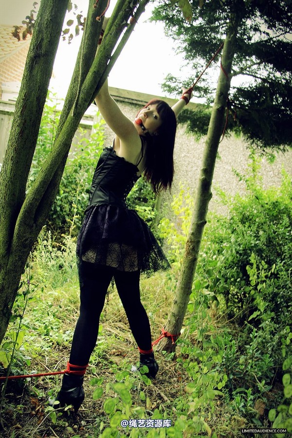 limitedaudience - 2013 syrah lee helpless outdoors 2 第 4 张图片