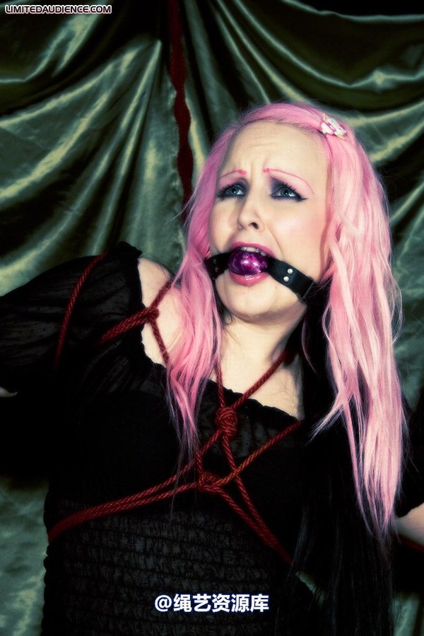 limitedaudience - 2009 assisted suicide profoundly entangled 2 第 11 张图片
