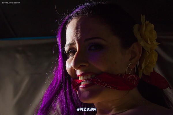 limitedaudience - 2014 caroline pierce captured damsel 2 第 28 张图片