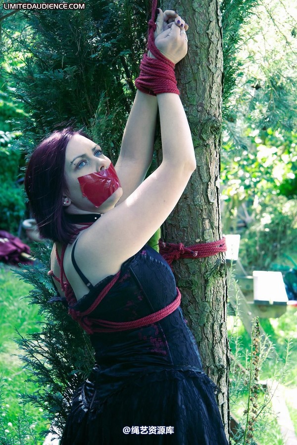 limitedaudience - 2011 carmina and the tree 2 第 2 张图片