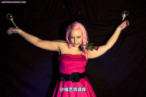 limitedaudience - 2009 assisted suicide a darling damsel 2 第 20 张图片