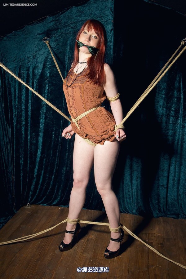 limitedaudience - 2013 syrah lee rope web 2 第 7 张图片