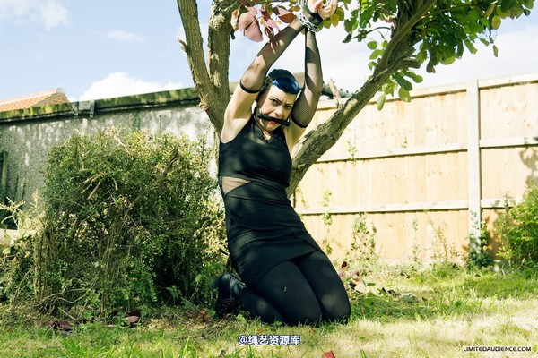 limitedaudience - 2012 raevan tied and tamed 第 5 张图片
