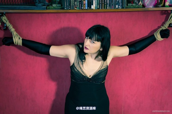 limitedaudience - 2013 dynamo incredulous captive 第 12 张图片