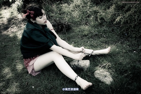 limitedaudience - 2012 dominick destruction escape and punishment 第 8 张图片
