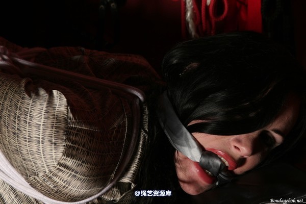 bondagebob - Morrigan take a seat 第 53 张图片