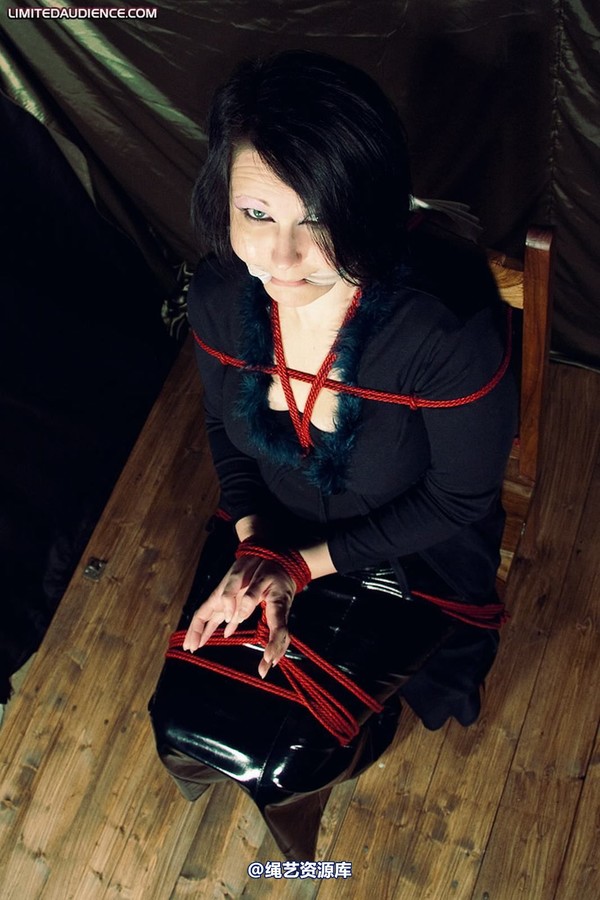 limitedaudience - 2010 deception helpless prisoner 2 第 15 张图片