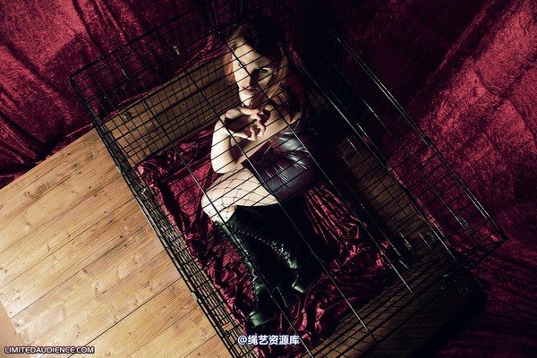 limitedaudience - 2009 ivory not getting out 第 16 张图片