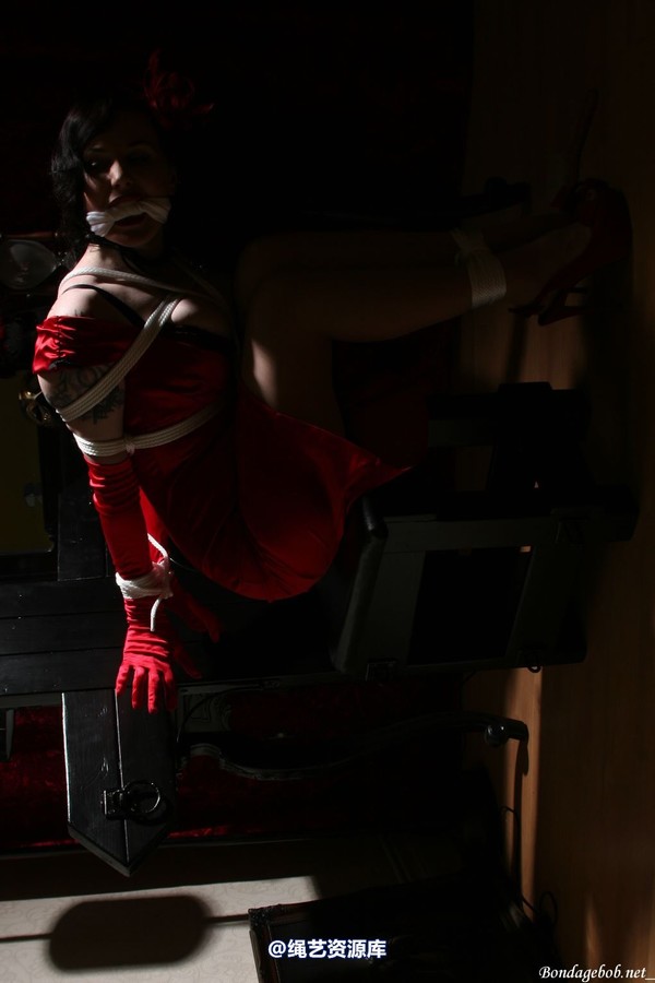 bondagebob - Morrigan Noir 第 100 张图片