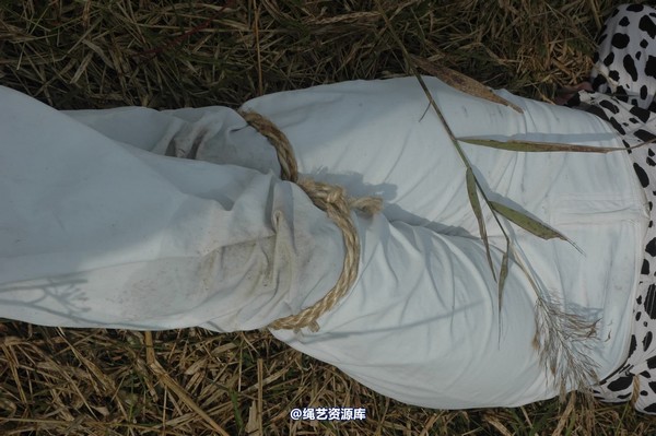 mj影视 - 血泪控诉刑场 第 308 张图片