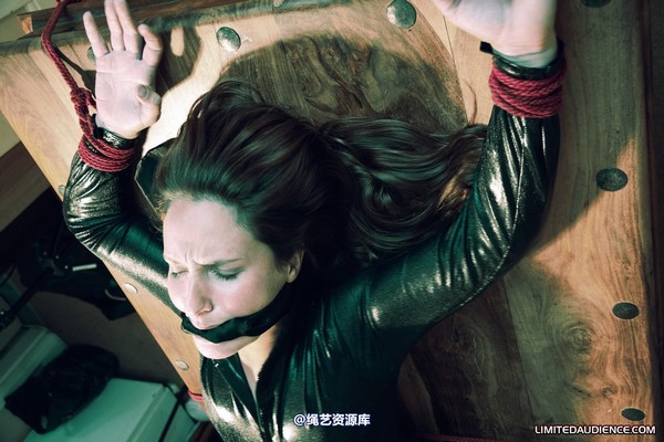 limitedaudience - 2010 sammie b devour 第 7 张图片