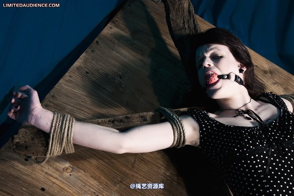 limitedaudience - 2011 luisa helpless to resist 2 第 23 张图片