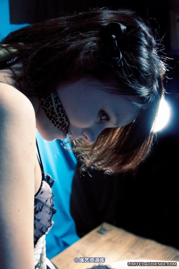 limitedaudience - 2010 luisa alone with her captor 2 第 9 张图片