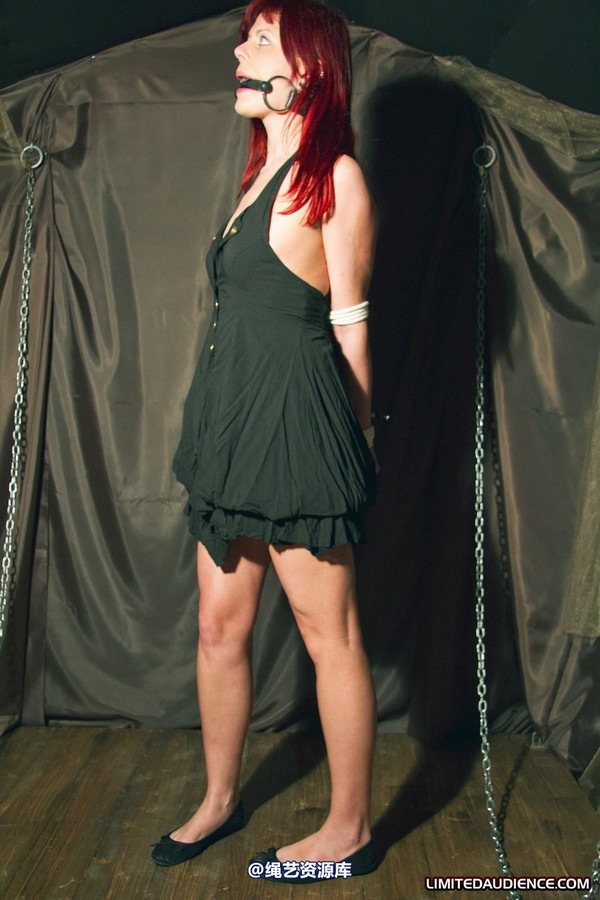 limitedaudience - 2011 scarlett bound and imprisoned 第 29 张图片
