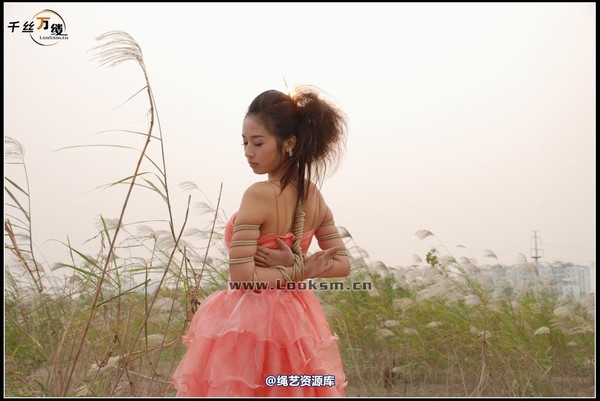 千丝万缕 - 2007-10-11日照片 第 32 张图片