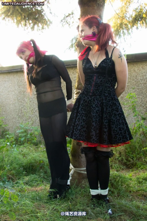 limitedaudience - 2011 beckykat loltaru moored to tree 2 第 27 张图片