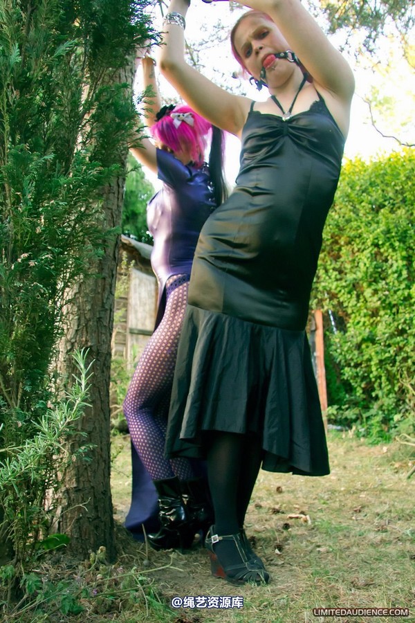 limitedaudience - 2011 beckykat loltaru chained tree seesaw 第 8 张图片